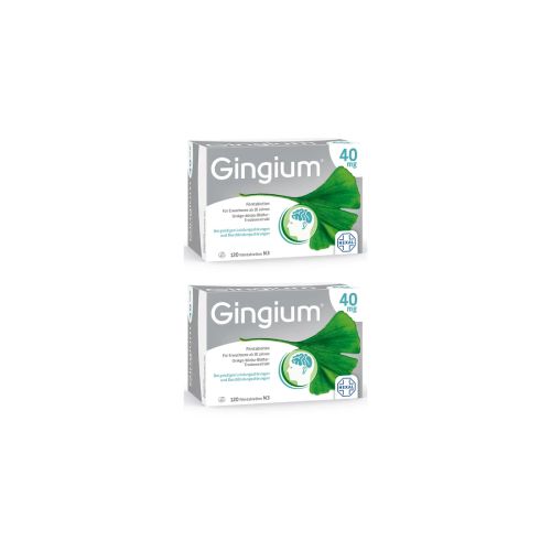 GINGIUM 40 mg Filmtabletten (2x120 St)